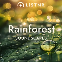 LiSTNR - Rainforest [Soundscapes]