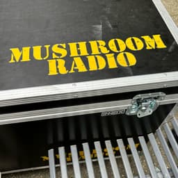 Mushroom Radio