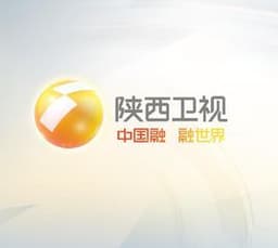 陕西卫视伴音