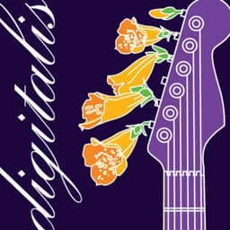 SomaFM Digitalis (128k AAC)