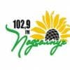 Подсолнух 102.9 FM