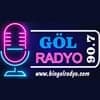 Göl Radyo