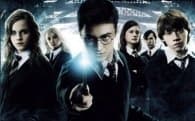Harry Potter fan